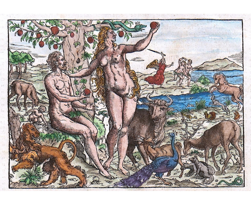 La Tentazione di Adamo ed Eva  - F. de Belleforest 1575