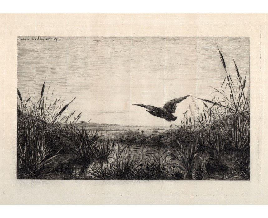 Le Marais - A. Aufray de Roc'Bihan 1875