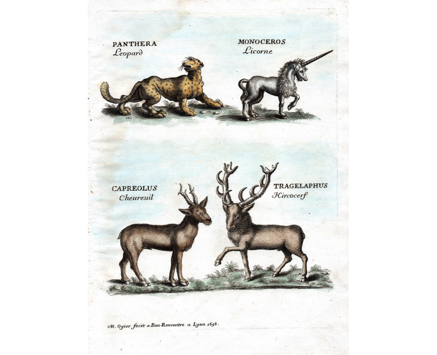 Panthera Monoceros Capreolus Tragelaphus - P. Lamy 1698
