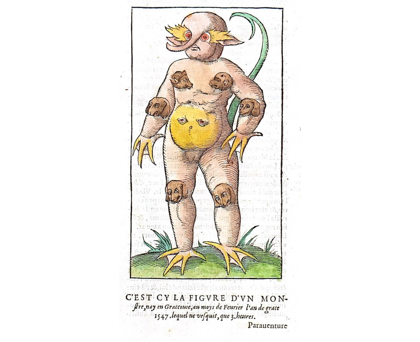 C'est cy la figure d'un Monstre - F. De Belleforest 1575