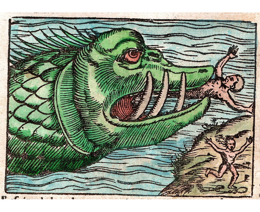Des monstres qui sont en Norduuege - S. Munster 1560