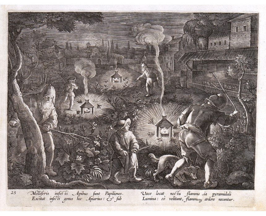 Melliferis infesti Apibus sunt Papiliones - J. Stradanus 1596